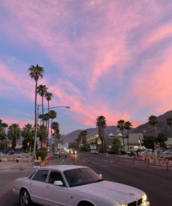 Acornkids.shop0e57be4cc6 4