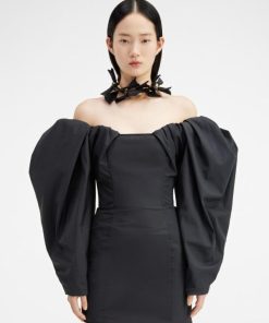 Acornkids.shop17d0f01d15 4