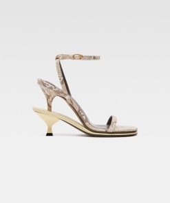 Acornkids.shop193d169129 1