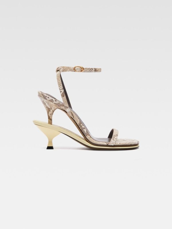 Acornkids.shop193d169129 1