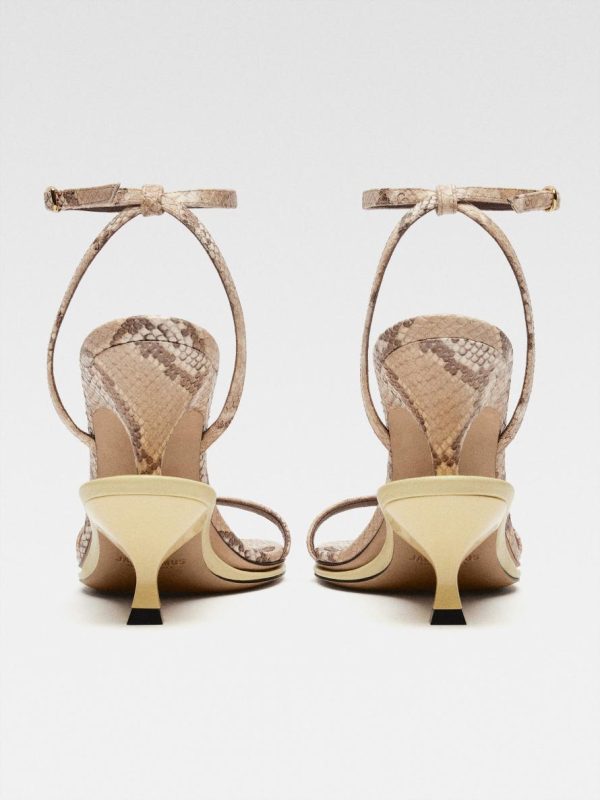 Acornkids.shop193d169129 3