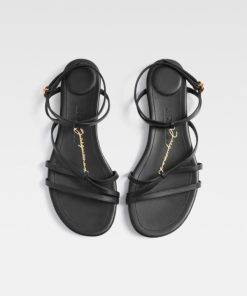 Acornkids.shop1eb09bf6a7 2