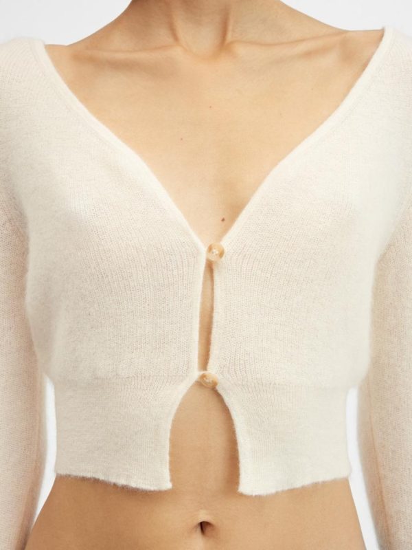 Acornkids.shop24876630b2 3