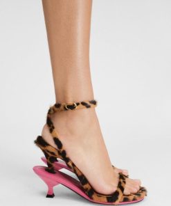 Acornkids.shop409f3f6ee5 5