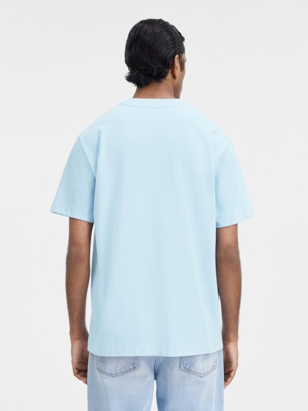 Acornkids.shop45e7af2e16 2