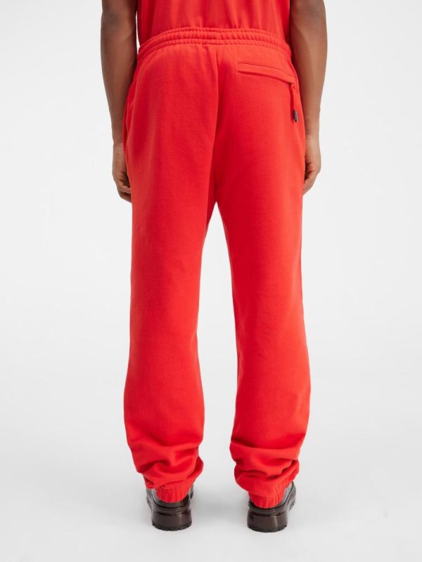 Acornkids.shop6233bb291e 3