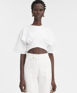 Acornkids.shop6d87efa2c7 1