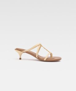 Acornkids.shop81e808a4e2 1