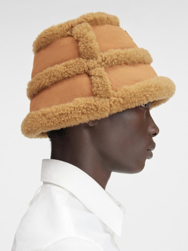 Acornkids.shop86e4bae417 4