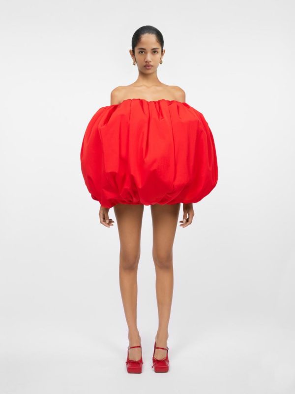 Acornkids.shopc1496ff5ec 1