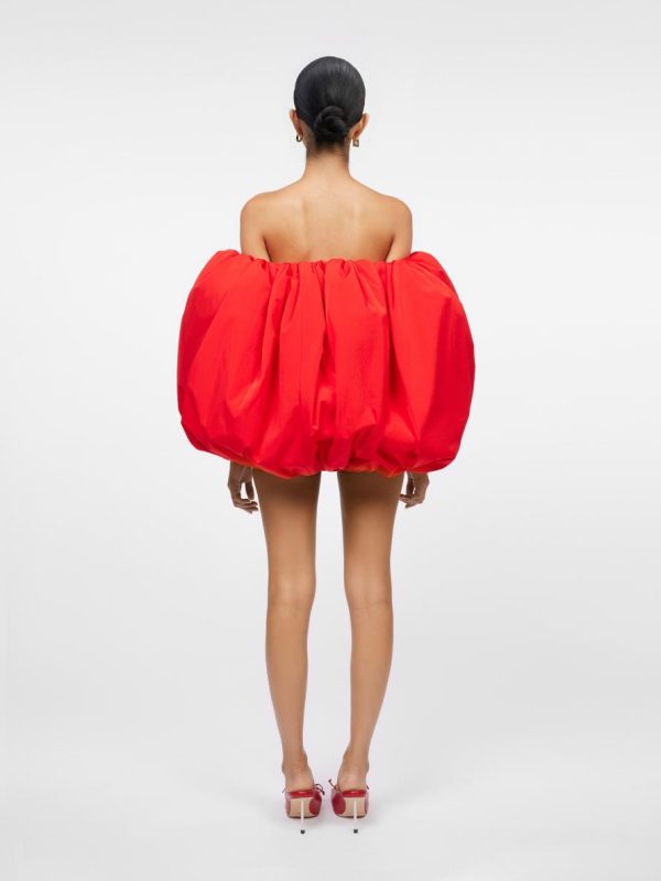 Acornkids.shopc1496ff5ec 3