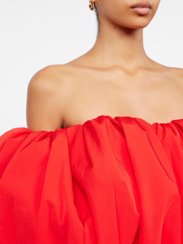 Acornkids.shopc1496ff5ec 4